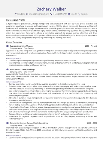Professional CV writing service example - James Innes Example 1